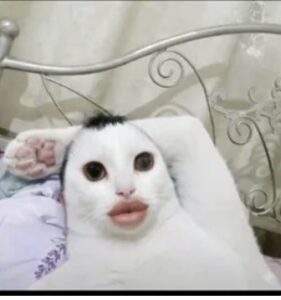 Seducción Al Sat